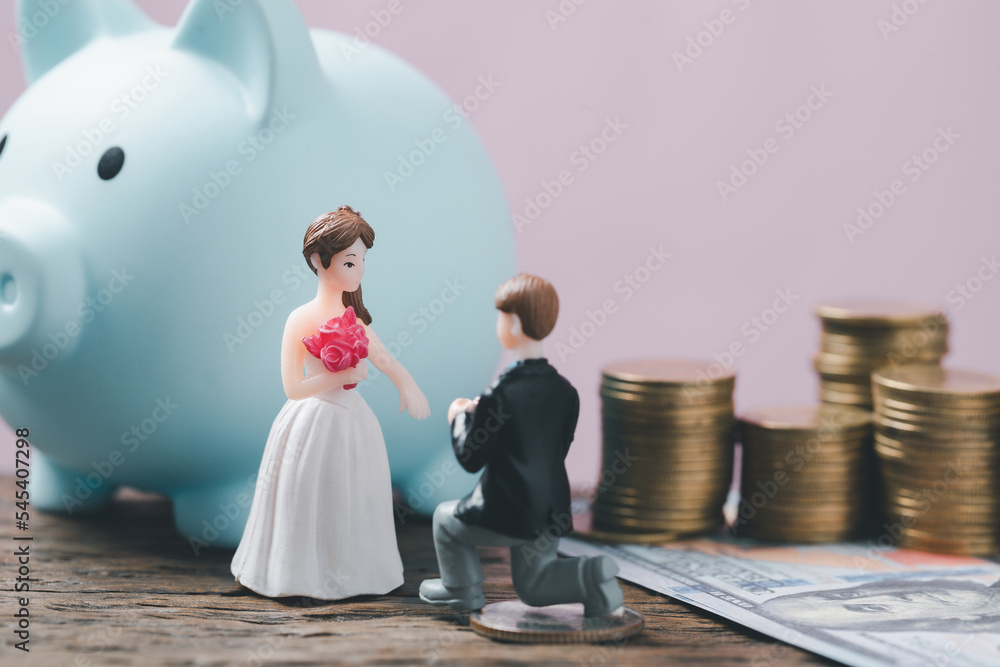 bride and groom budgeting for the wedding